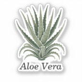 Sticker Plante d'Aloe Vera Herboristerie (Recto)