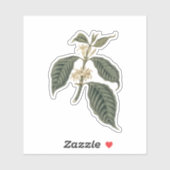 Sticker Plante de café botanique Élégance bohème Floral (Feuille)