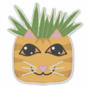 Sticker Plante en loe tabby orange (Devant)