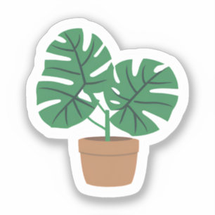 Sticker Plante Monstera   Jolie Plante Verte en Pot