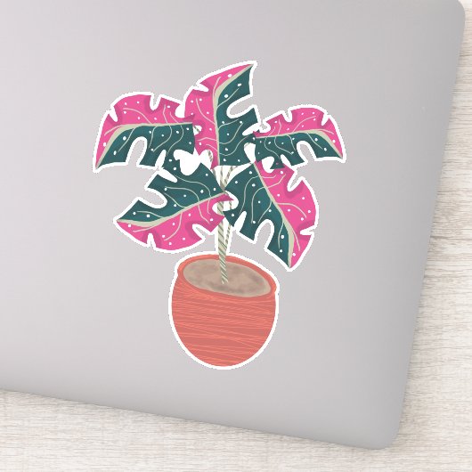 Sticker Plante Monstera Rose Dessinée à la Main (Détail)