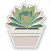 Sticker Plante Succulent (Devant)