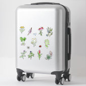 Sticker Plantes de plantes aromatiques (Sur valise)