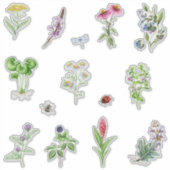 Sticker Plantes de plantes aromatiques (Devant)