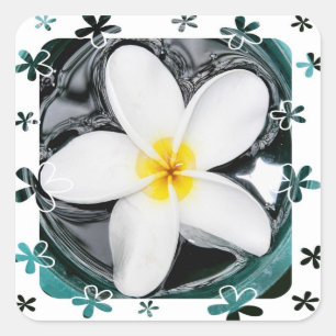 Sticker Plumeria