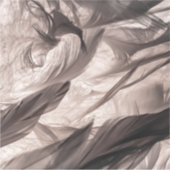 Sticker Plumes (Devant)