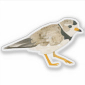 Sticker Pluvier siffleur (Devant)