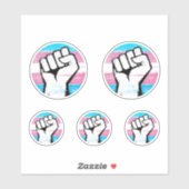 Sticker Poing de Fierté Trans Imprimé Cercle (Feuille)