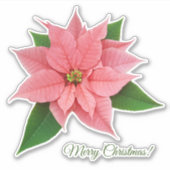Sticker Poinsettia rose (Devant)