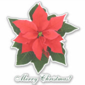 Sticker Poinsettia Rouge (Devant)