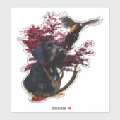 Sticker Pointeur À poils durs allemand (Feuille)