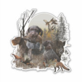 Sticker Pointeur À poils durs allemand (Devant)