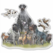 Sticker Pointeur À poils durs allemand (Devant)