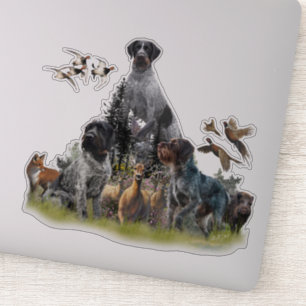 Sticker Pointeur À poils durs allemand