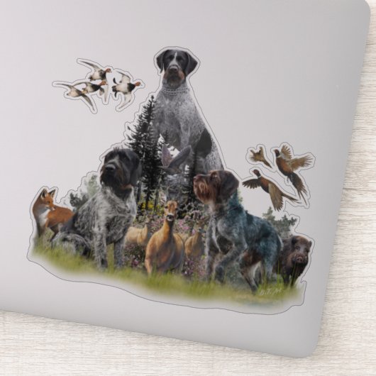 Sticker Pointeur À poils durs allemand (Détail)