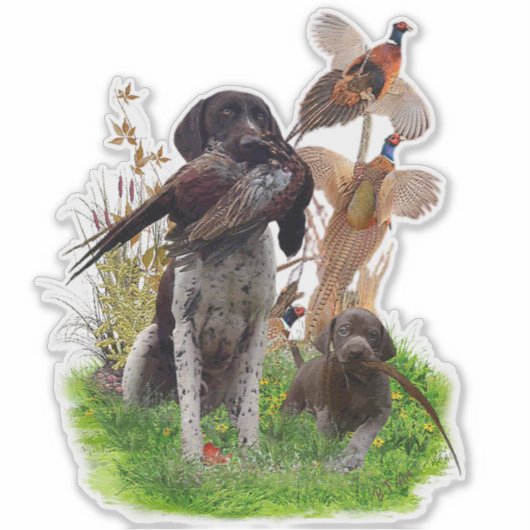 Sticker pointeur allemand (Devant)