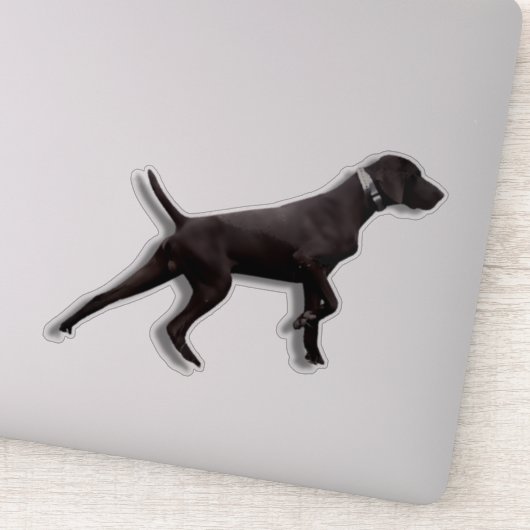 Sticker pointeur GSP (Détail)