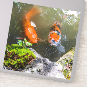 Sticker Poisson Koi dans un étang