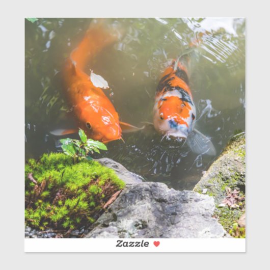 Sticker Poisson Koi dans un étang (Feuille)