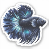 Sticker Poisson noir et bleu Betta (Recto)