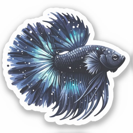 Sticker Poisson noir et bleu Betta (Recto)