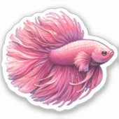 Sticker Poisson rose Betta (Recto)