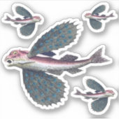 Sticker poisson volant (Devant)