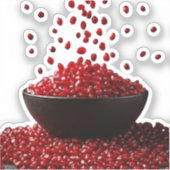 Sticker Pomegranate Illustration – Elegant Fruit Design (Recto)