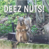 Sticker Portable drôle d'écureuil Deez Nuts pour adultes (Devant)