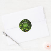 Sticker Porte-Happy (Envelop)