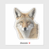 Sticker Portrait animal coyote (Feuille)