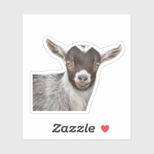 Sticker Portrait de chèvre (Feuille)
