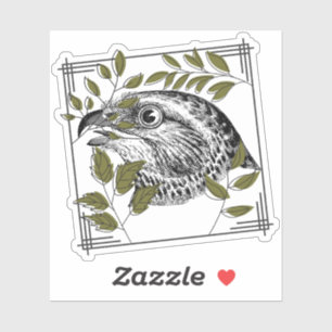 Sticker Portrait de rapace et feuilles d'olive - Art botan