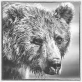 Sticker Portrait d'ours grizzli (Devant)