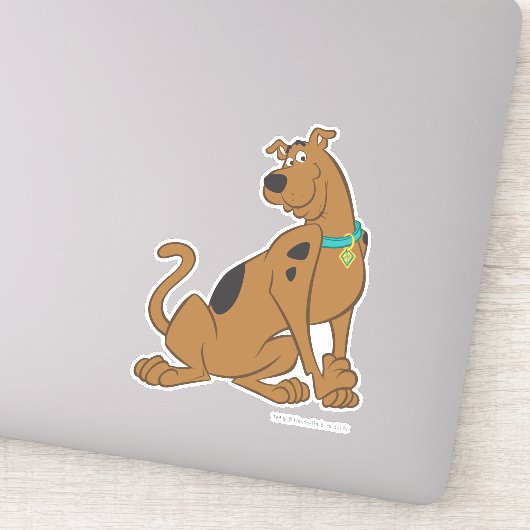 Sticker Pose Scooby-Doo Bashful (Détail)