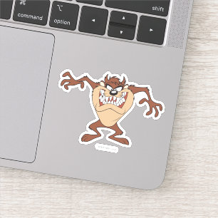 Sticker pose TAZ™
