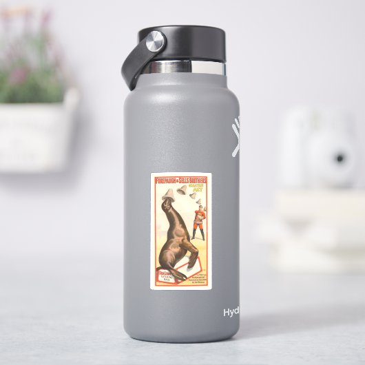 Sticker Poster De Cirque Montrant Un Lion De Mer Casquette (HydroFlask)