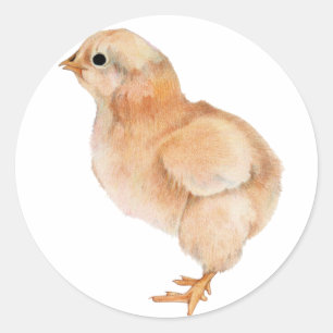 Sticker pour bébé poussette