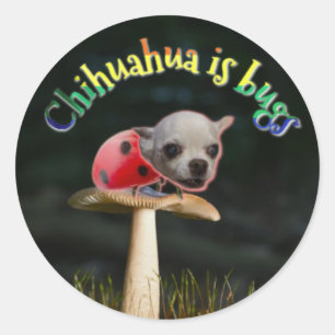 Sticker pour bogue Copernicus