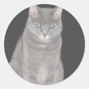 Sticker pour chat gris