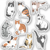 Sticker pour chat mignon (Devant)
