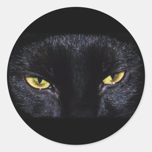 Sticker pour chat noir Halloween (Devant)