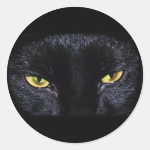 Sticker pour chat noir Halloween