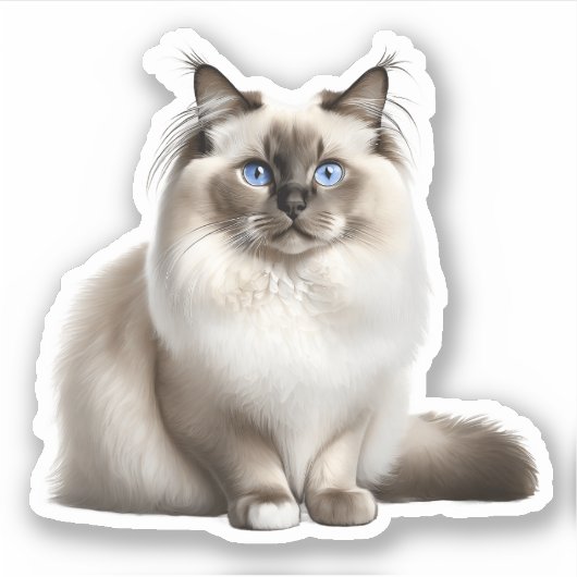 Sticker pour chat Ragdoll (Devant)