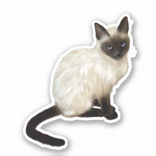Sticker pour chats siamois (Devant)