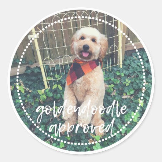 Sticker pour chien approuvé Goldendoodle (Devant)