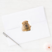 Sticker pour chien coquelicot / Sceau (Enveloppe)