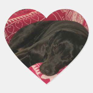 Sticker pour chien endormi