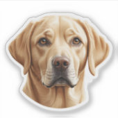 Sticker pour chiot pour rétrificateur doré - Chien (Devant)