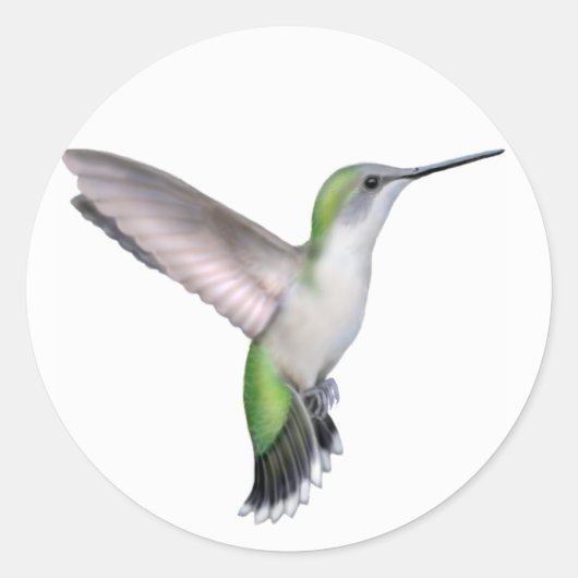 Sticker pour colibri volant Ruby féminin (Devant)